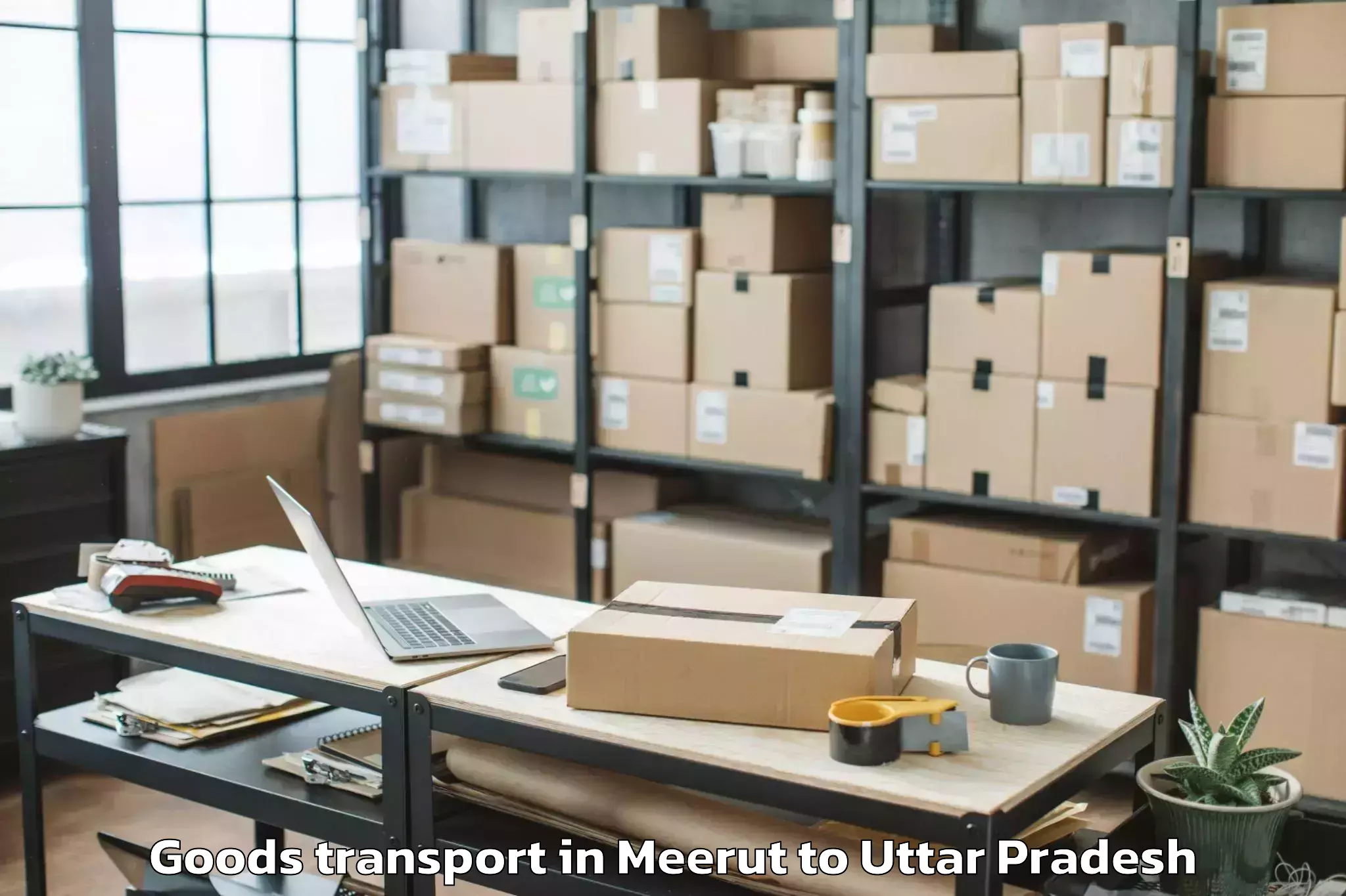 Top Meerut to Talbahat Goods Transport Available